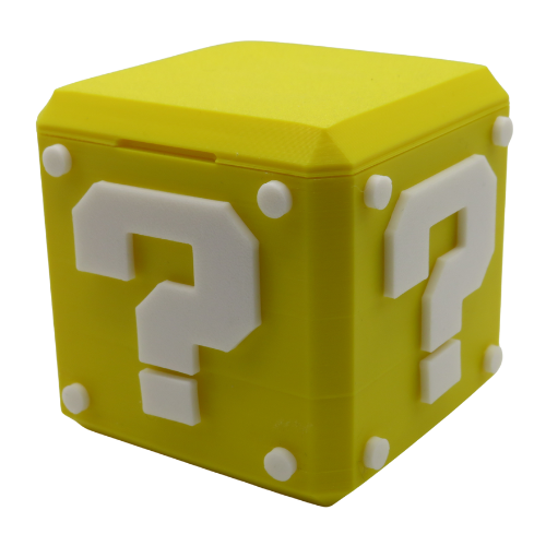 Nintendo Game Case