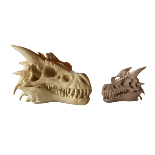 Dragon Skull Fossil (White)