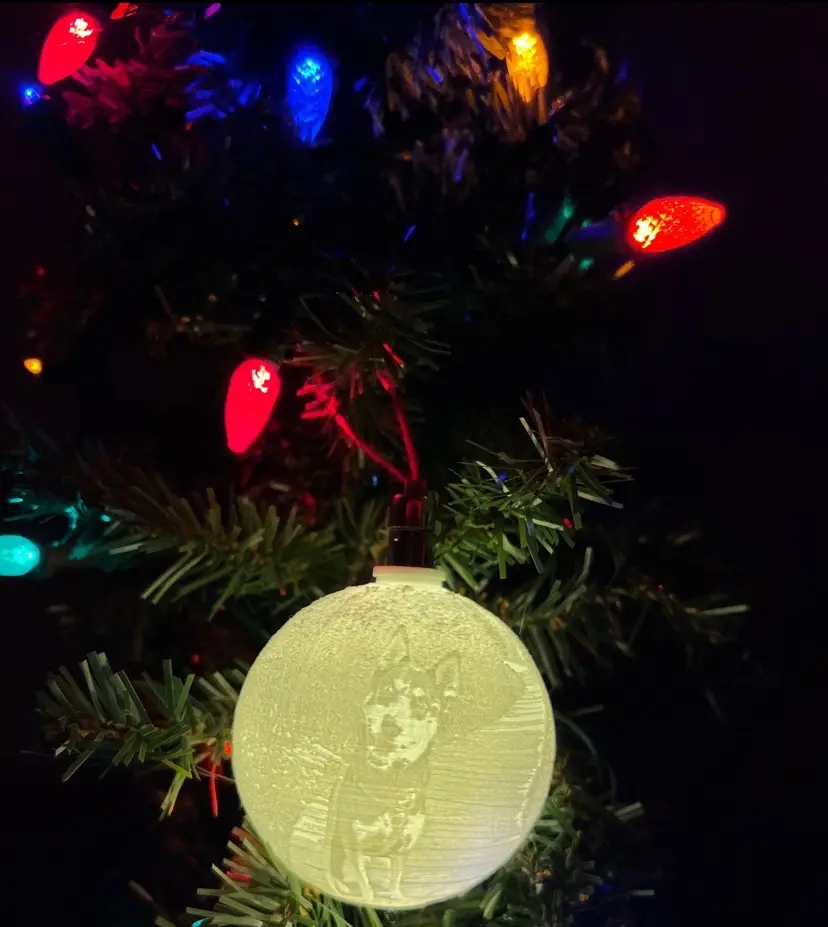 Illuminated Picture Christmas Ornament